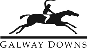 11_04_07_galway_logo_2