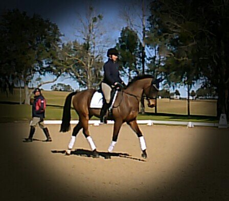 IMG_20140122_165412.jpg image