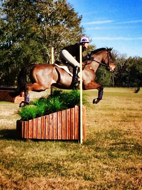 IMG_43017951257289.jpeg image